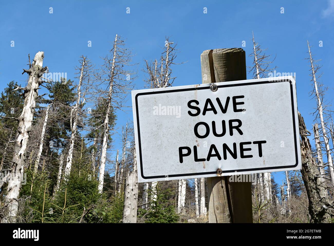 Schild mit der Aufschrift Save Our Planet. Im Hintergrund ein toter Wald in Deutschland Stockfoto