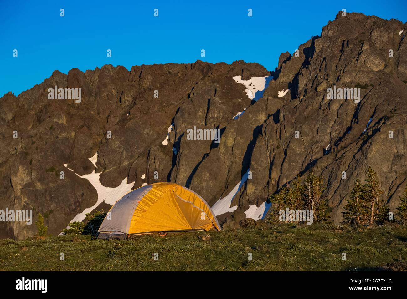 Das Zelt wurde auf einer hohen Wiese in der Nähe des Marmot Passes in der Buckhorn Wilderness, Olympic National Forest, Olympic Mountains, Washington State, USA, aufgestellt Stockfoto