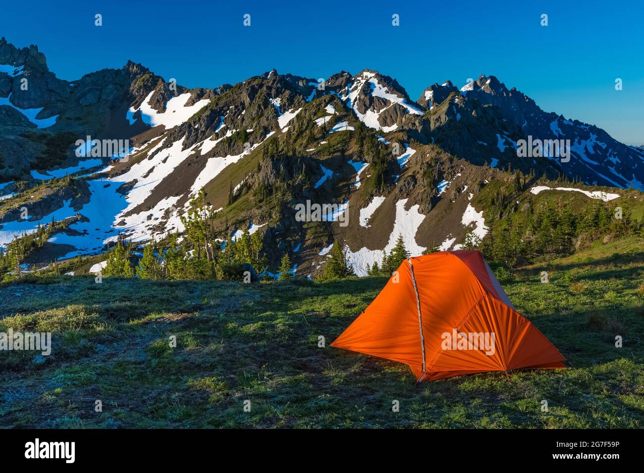 Rucksackzelt auf einer subalpinen Wiese nahe dem Marmot Pass in der Buckhorn Wilderness, Olympic National Forest, Olympic Mountains, Washington State, USA Stockfoto