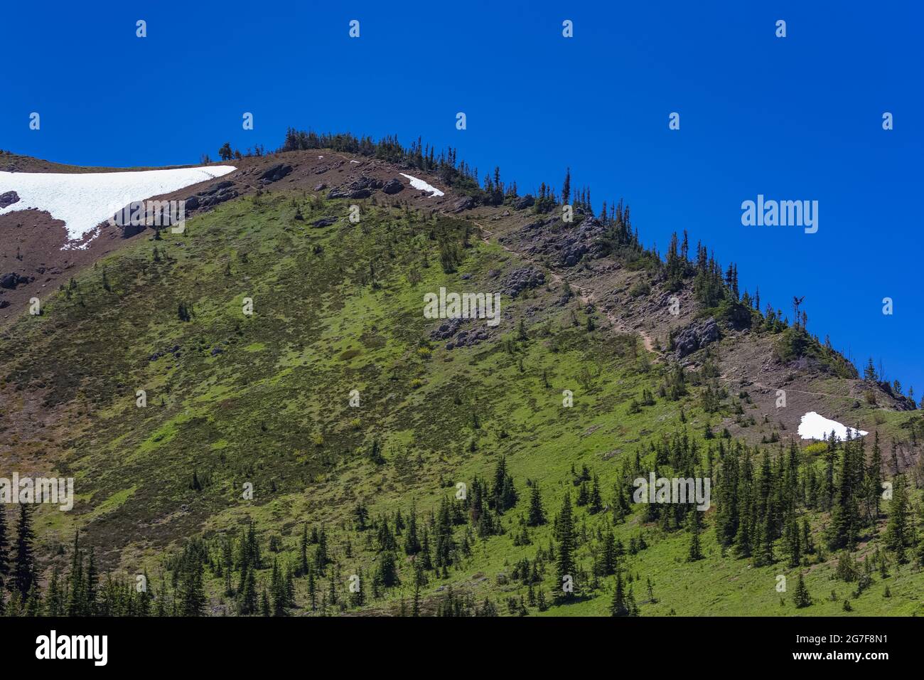 Trail entlang des Bergrückens in der Nähe des Marmot Passes in der Buckhorn Wilderness, Olympic National Forest, Olympic Mountains, Washington State, USA Stockfoto