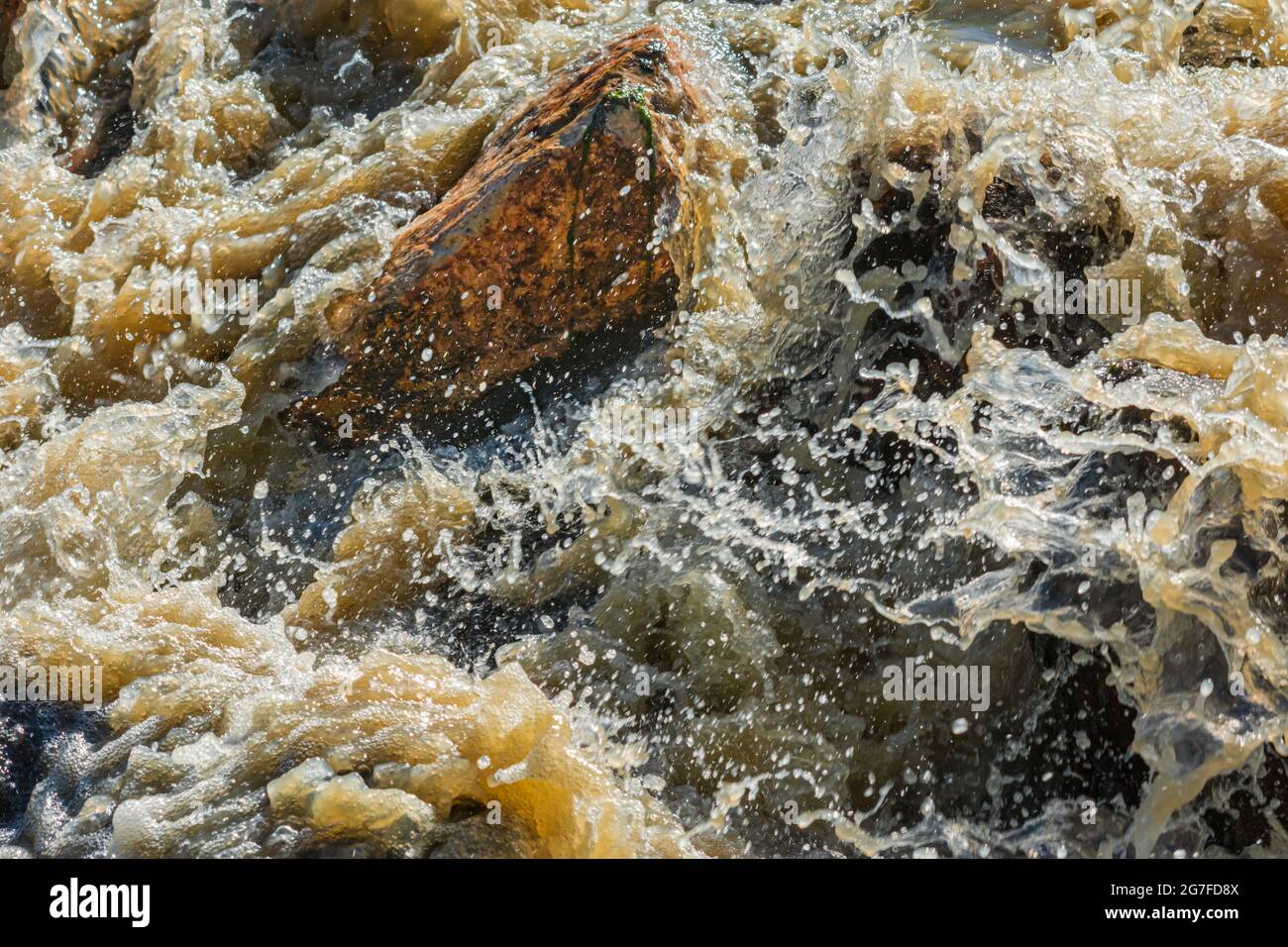 Rauschendes schlammiges Wasser fließt über Felsen im Sellars Gulch Gebiet durch starkes Gewitter, Castle Rock Colorado USA. Foto aufgenommen im Juli. Stockfoto