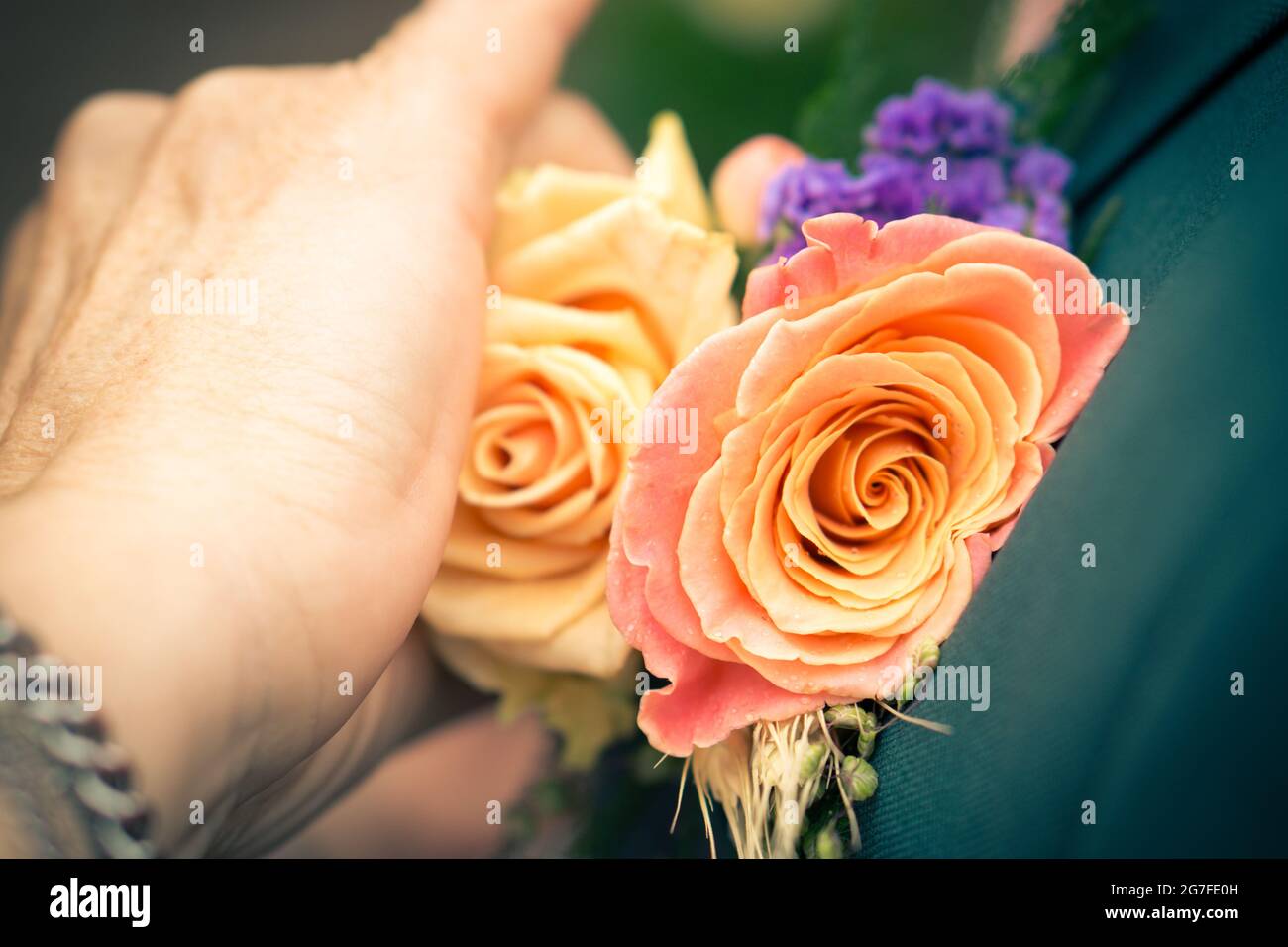 Eine Blumenorsage von Hand auf blühende Blumen im Garten aufheften Stockfoto