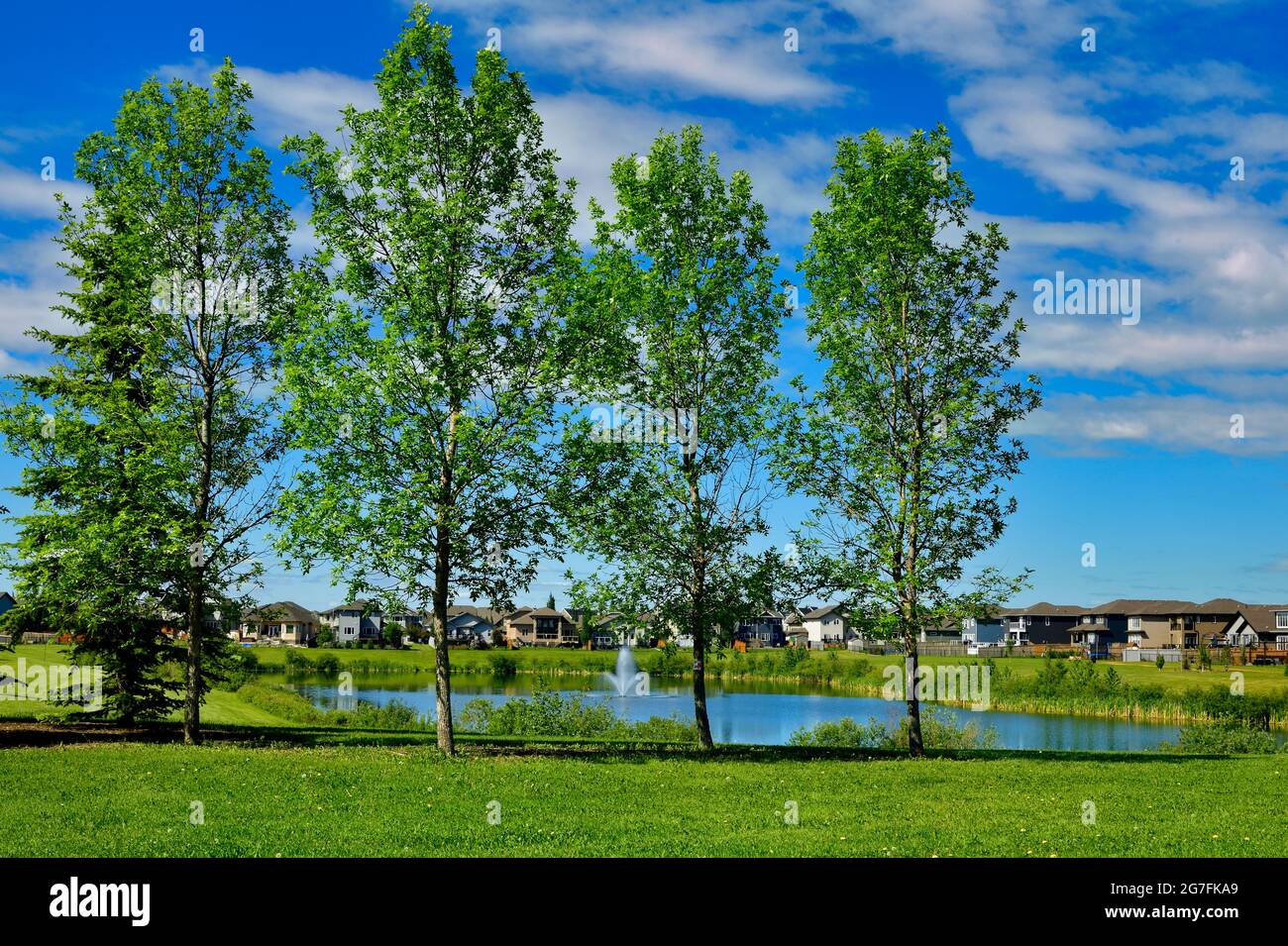 Eine urbane Landschaft mit Grünflächen, Bäumen, einem Teich, Häusern und blauem Himmel in Morinville, Alberta, Kanada. Stockfoto