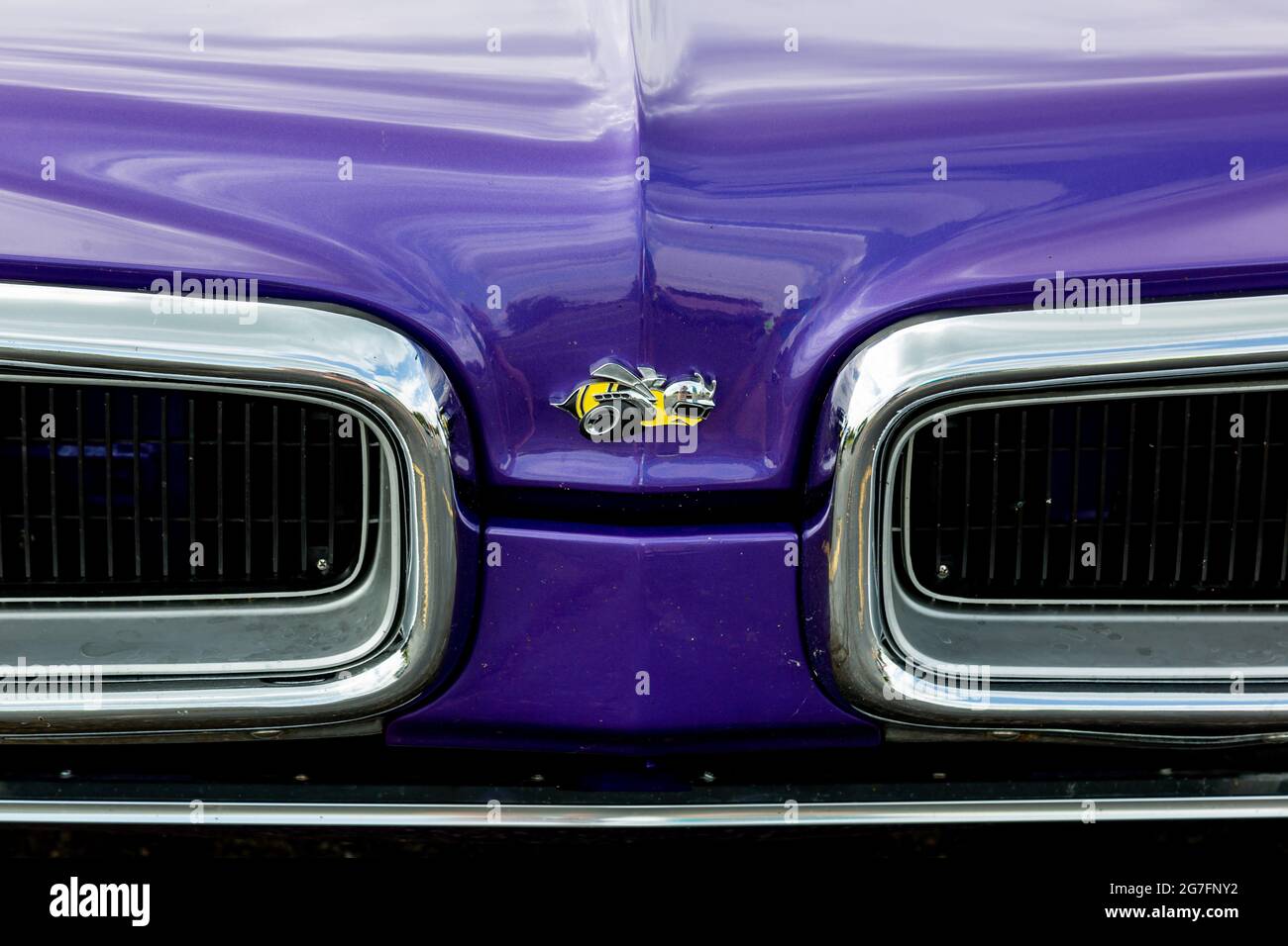 Das Bienenemblem zwischen den Grills auf der Vorderseite einer lila 1970 Dodge Super Bee. Stockfoto