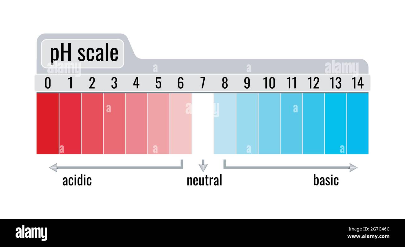 Diagrammmessgerät für pH-Wert-Skala für Säure- und Grundlösungen isoliert auf weißem Hintergrund. Stock Vektor