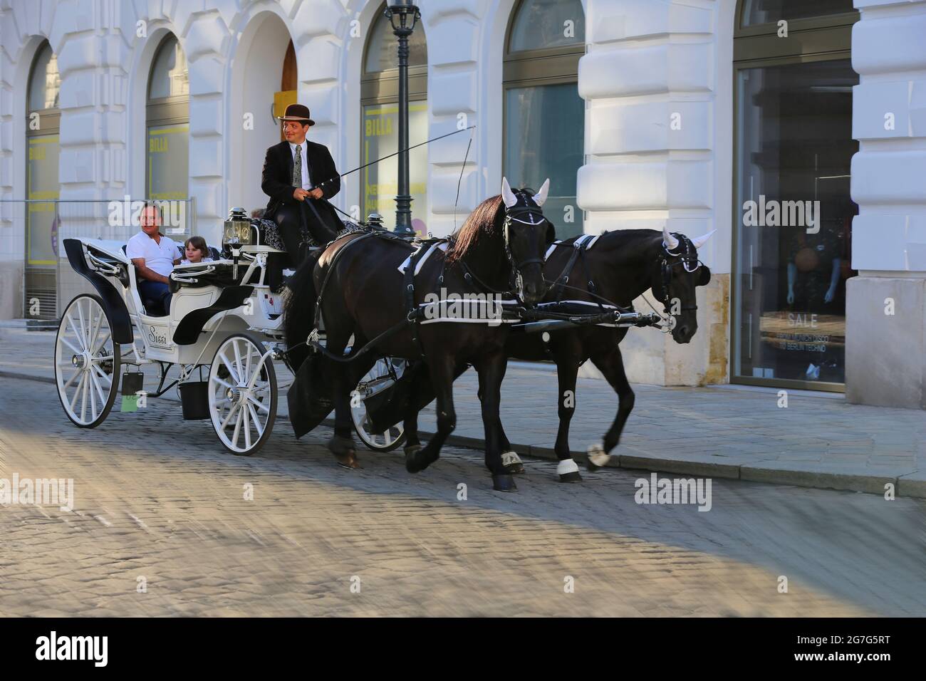 Fiaker, Wien, Pferdekutsche oder Fiaker bei romantischer Fahrt durch die Hauptstadt, Wien, Österreich! Stockfoto
