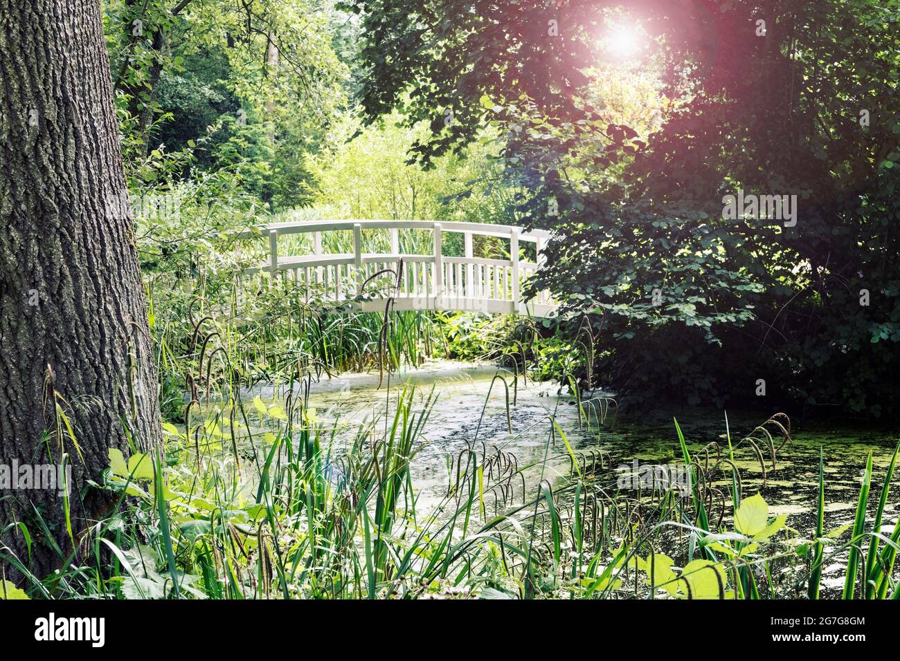 The Truth Trail in Waterperry Garden Wheatley Oxfordshire, Großbritannien Stockfoto