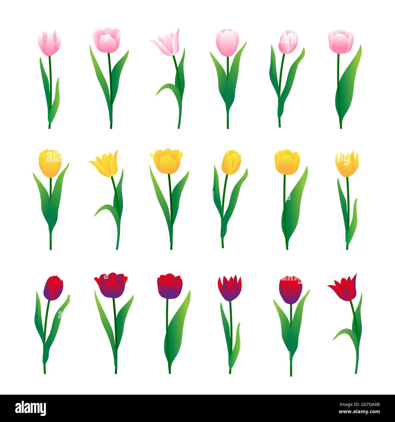 Bunte Tulpen auf weißem Hintergrund isoliert. Vektorgrafiken Stock Vektor