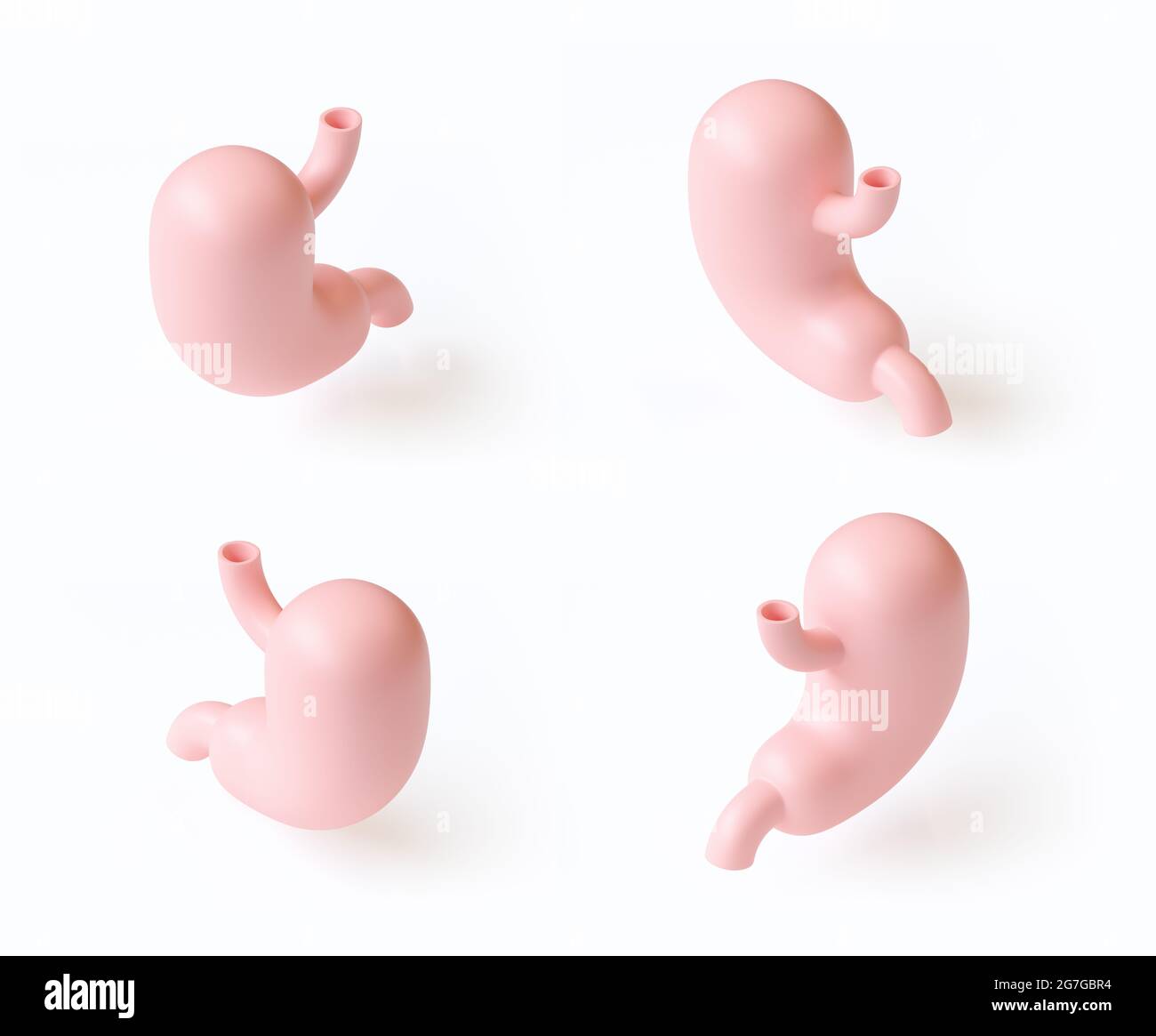 Isometrische 3d-Darstellung von stilisierten Satz von vier menschlichen Mägen in verschiedenen Winkeln isoliert auf weiß. Inspiriert von flachen Designtrends Stockfoto