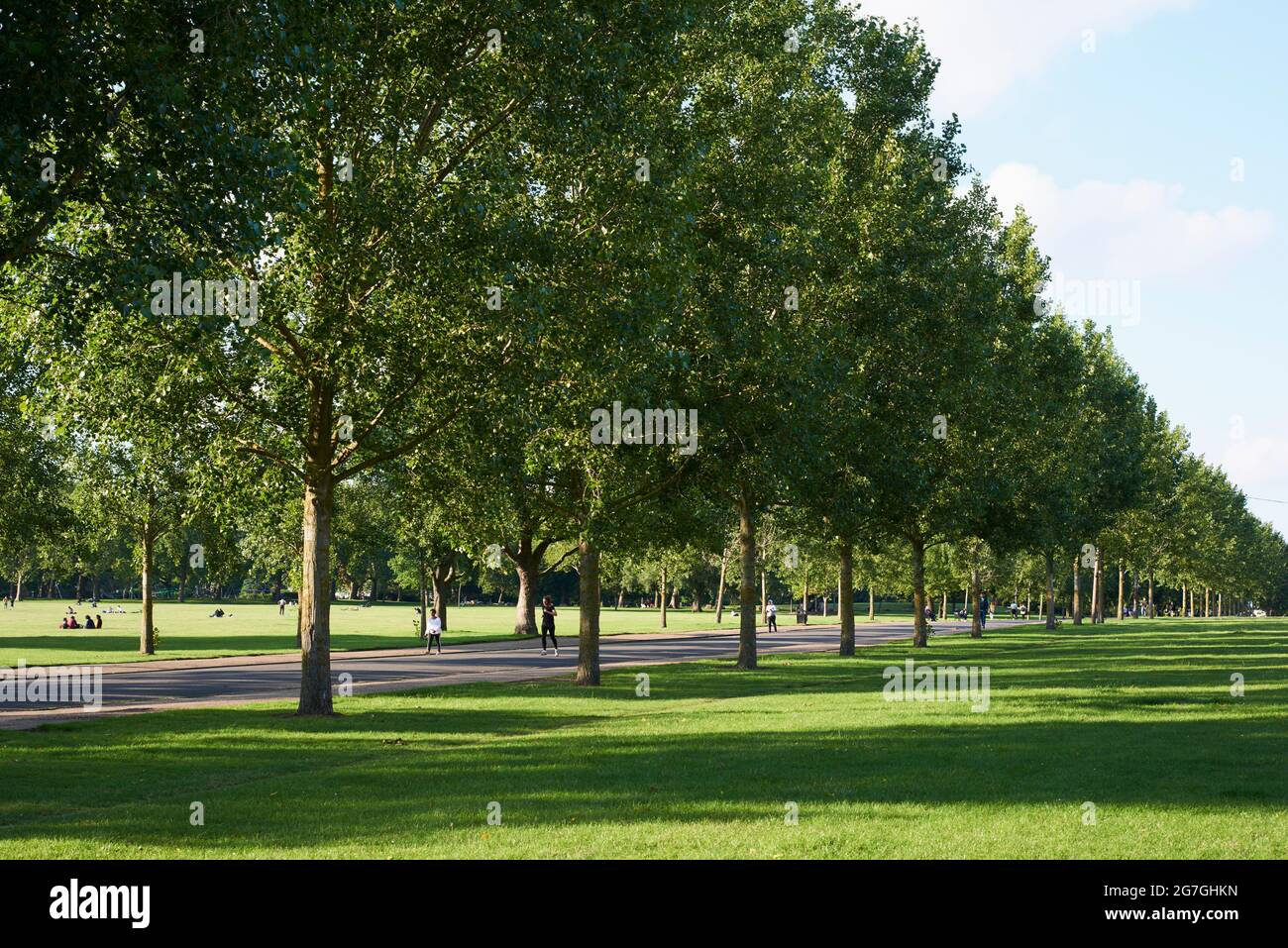 Im Sommer führt ein von Bäumen gesäumter Pfad durch den Finsbury Park, im Norden Londons, Großbritannien Stockfoto