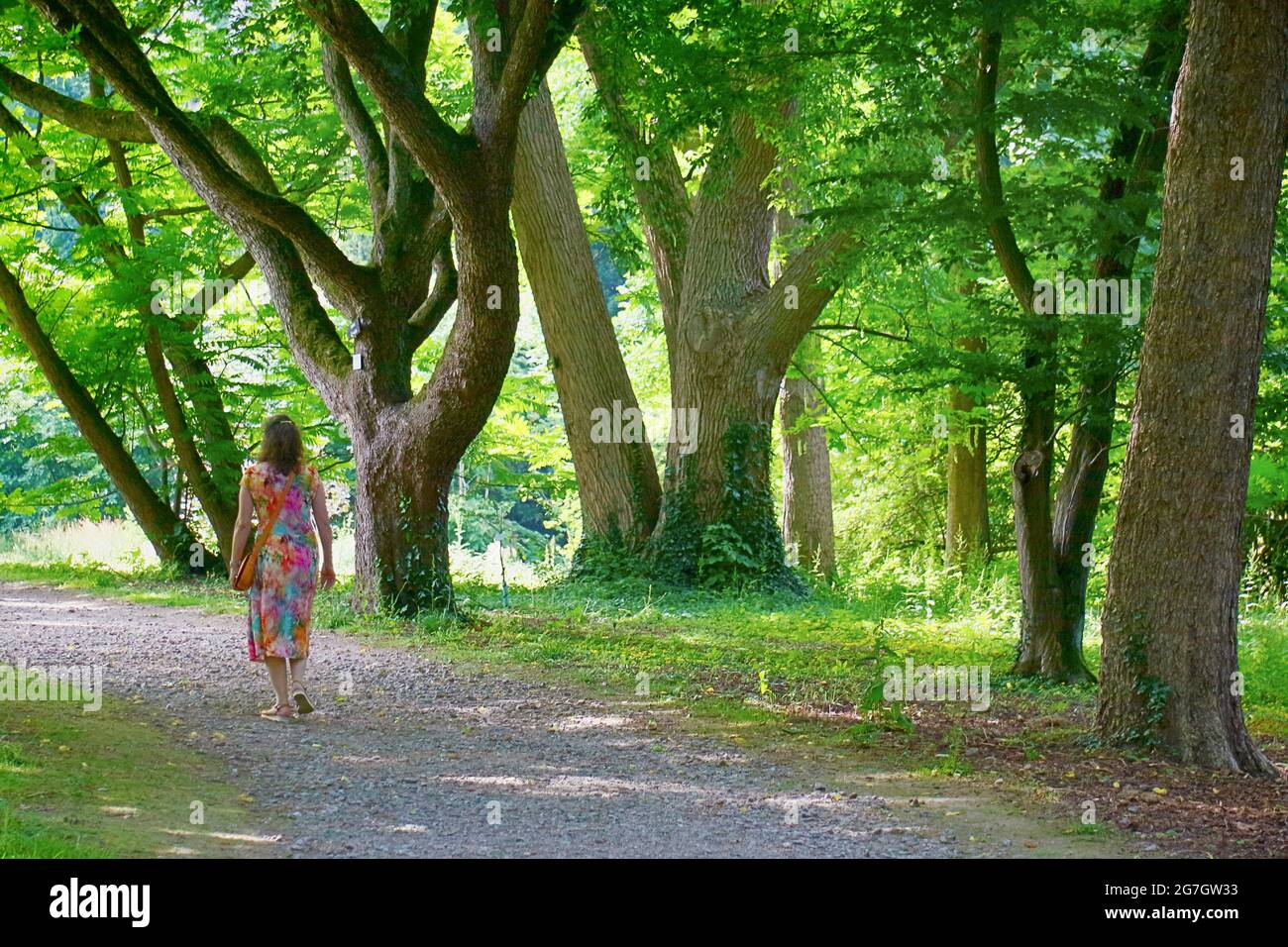 Frau in einem bunten Sommerkleid zu Fuß durch einen Park, Deutschland Stockfoto
