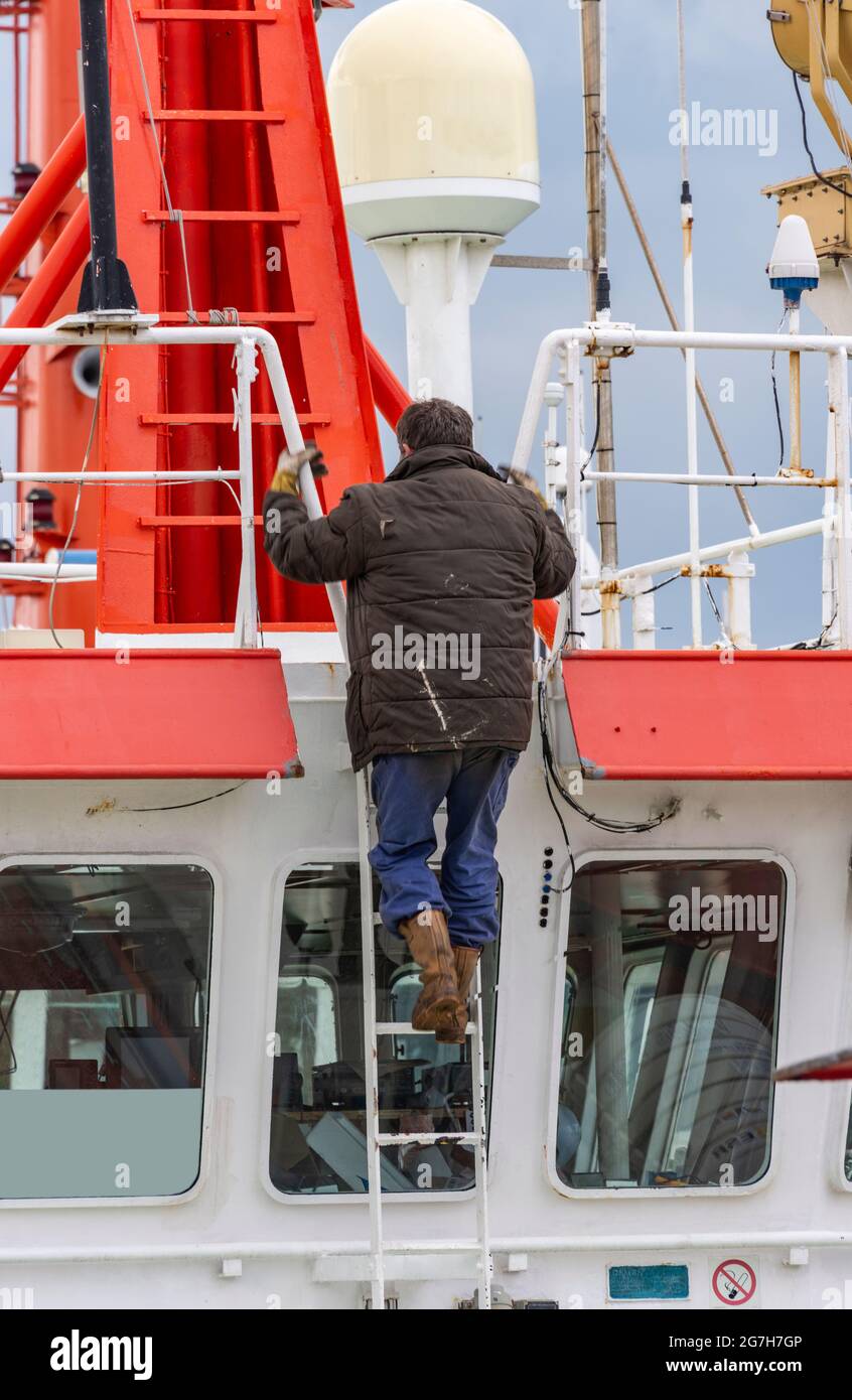 Mitarbeiter eines Schiffes steigt eine Leiter hinauf Stockfoto