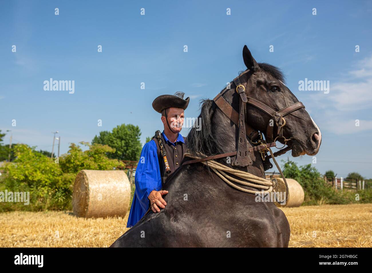 Traditioneller ungarischer Wrangler, der die Fähigkeit demonstriert, sein Pferd im ländlichen Ostungarn sitzen zu lassen Stockfoto