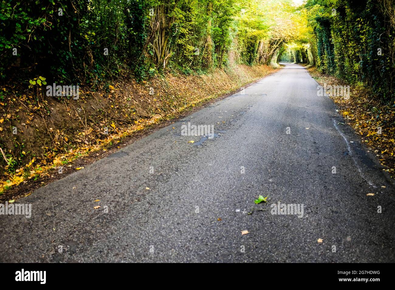 Herbststraße in der Normandie, Frankreich. Stockfoto