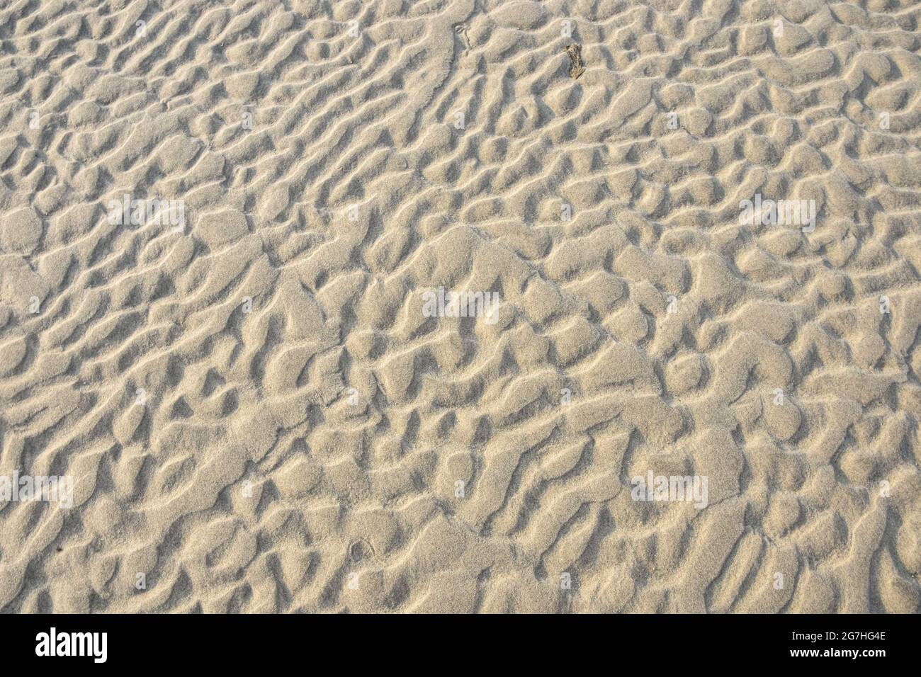 Formen im Sand, die bei Ebbe freigelegt wurden und durch Wasserbewegungen über Sandbeinen gebildet wurden. West Meadow Beach, Stony Brook, New York Stockfoto