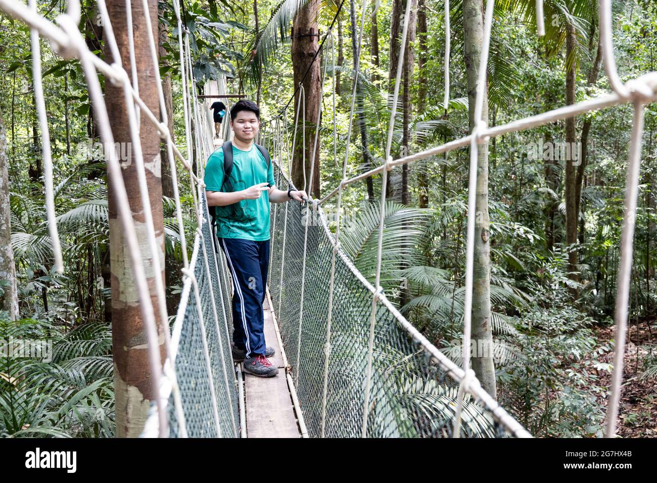 Touristenspaziergängen im Taman Negara National Park Regenwald Stockfoto