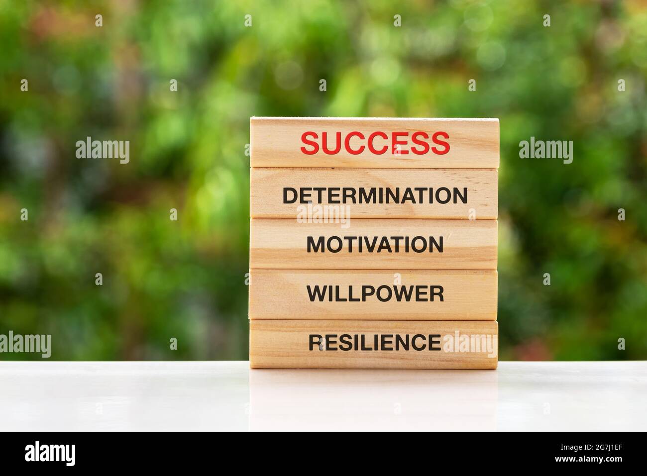 Erfolg, Entschlossenheit, Motivation, Willenskraft, Belastbarkeit Text auf Holzblock Stockfoto
