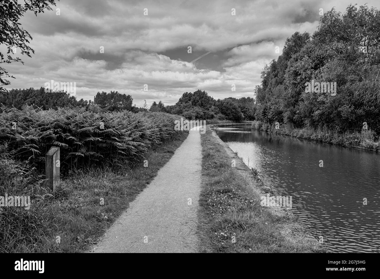 Black and White Trent und Mersey Kanal in der Nähe von Sandbach-Heshire UK Stockfoto