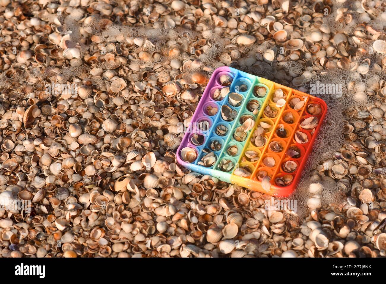 Am Strand mit Muscheln ist ein Pop-it-Spielzeug. Stockfoto