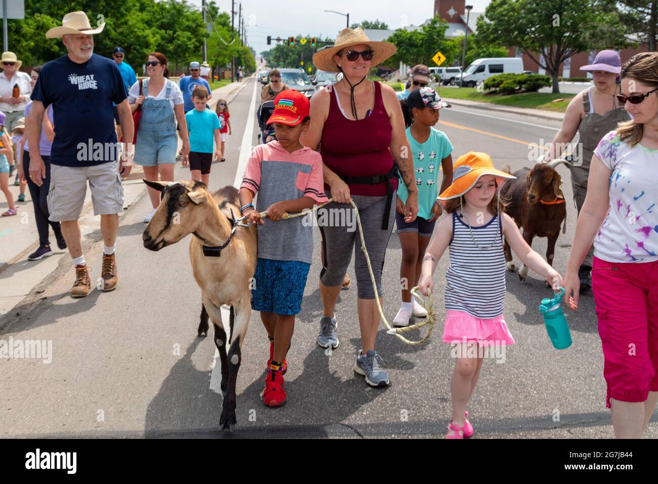 Wheat Ridge, Colorado - begleitet von bewundernden Kindern und Erwachsenen, Ziegen von 5 Kühlschränken Farm Parade zum Lewis Meadows Park, wo sie erlaubt werden Stockfoto