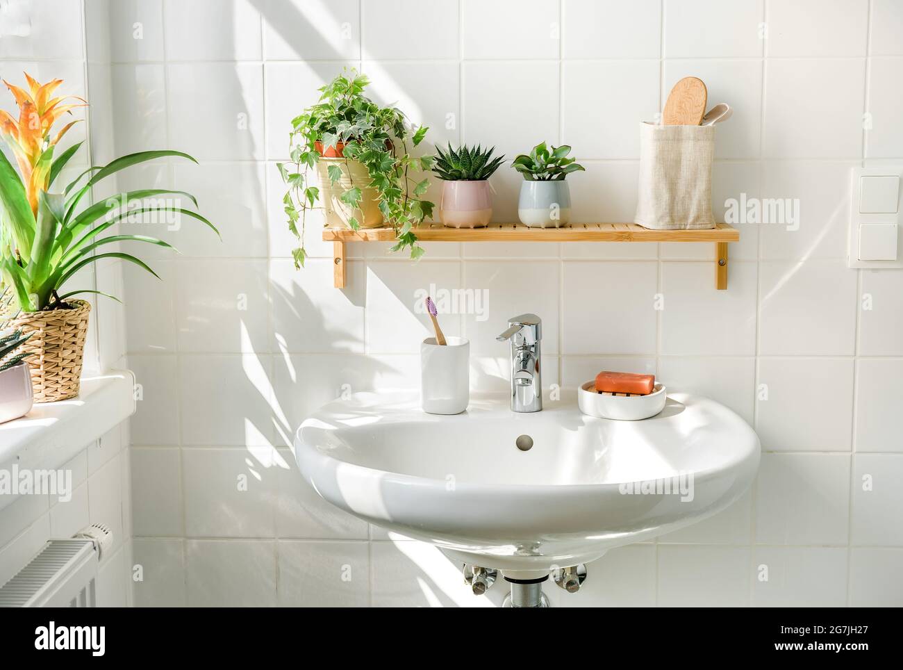 Weißes, modernes Bad in umweltfreundlichem Stil mit vielen grünen Pflanzen Stockfoto