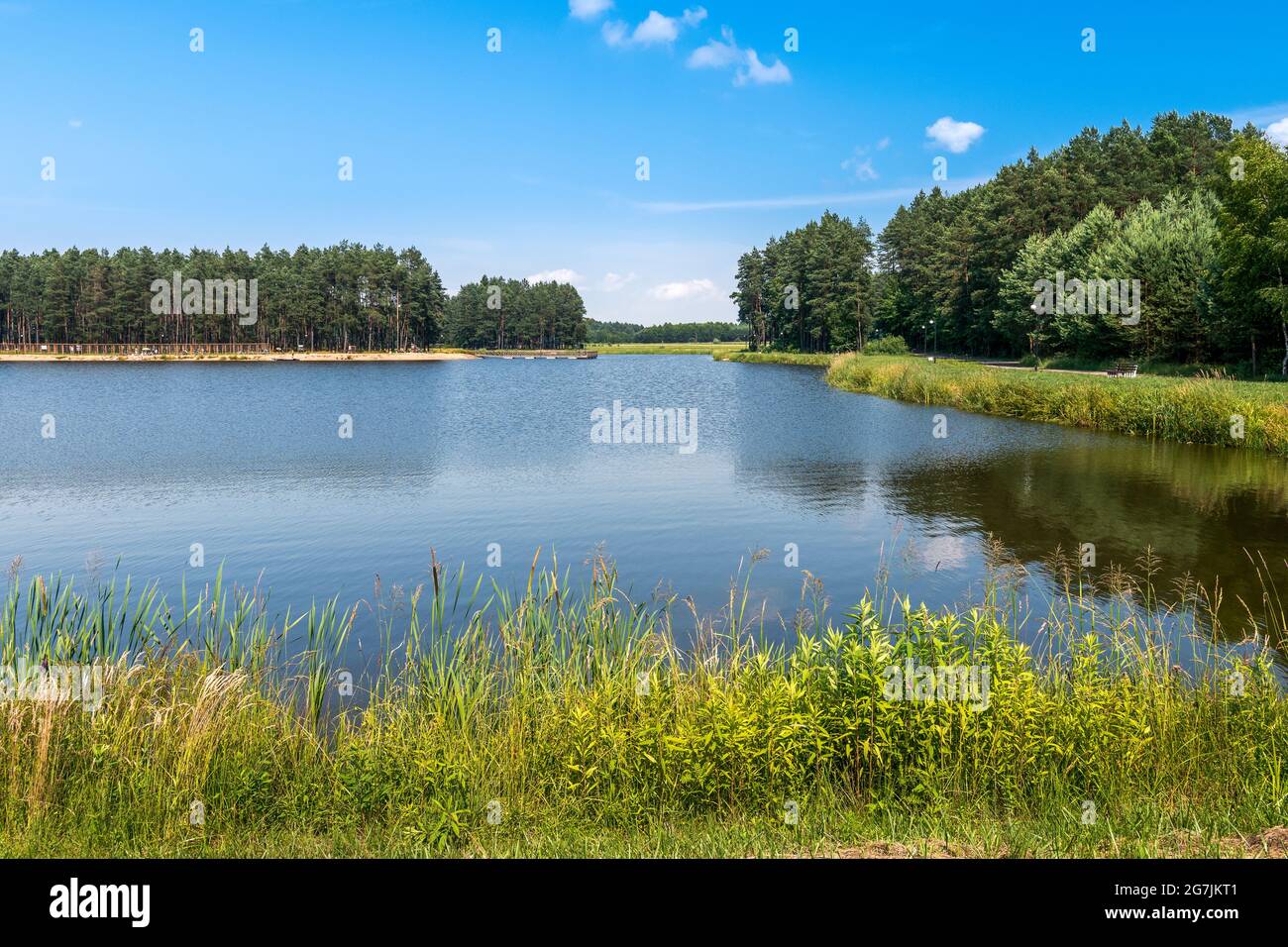 Blick auf den See in Jacnia, Roztocze, Polen. Bäume und Strand im Hintergrund. Stockfoto