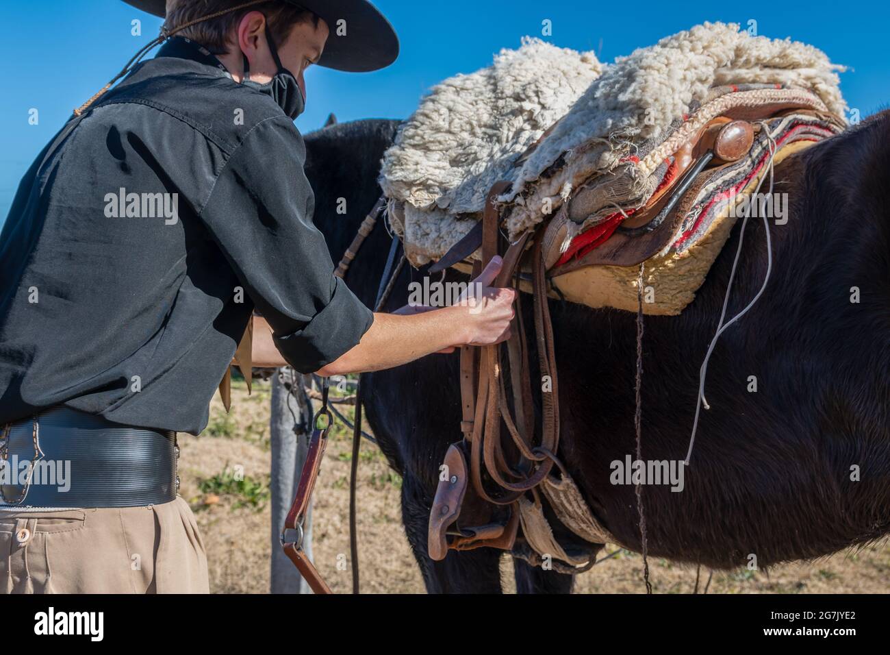 Nahaufnahme eines argentinischen Reiters, der sich darauf vorbereitet, ein Pferd auf einem Feld zu reiten Stockfoto