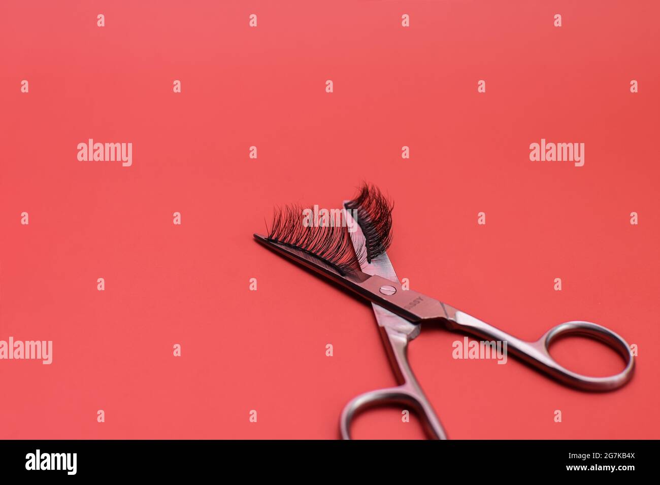 Magnetische künstliche Wimpern auf Schere. Auf rotem Hintergrund. Stockfoto