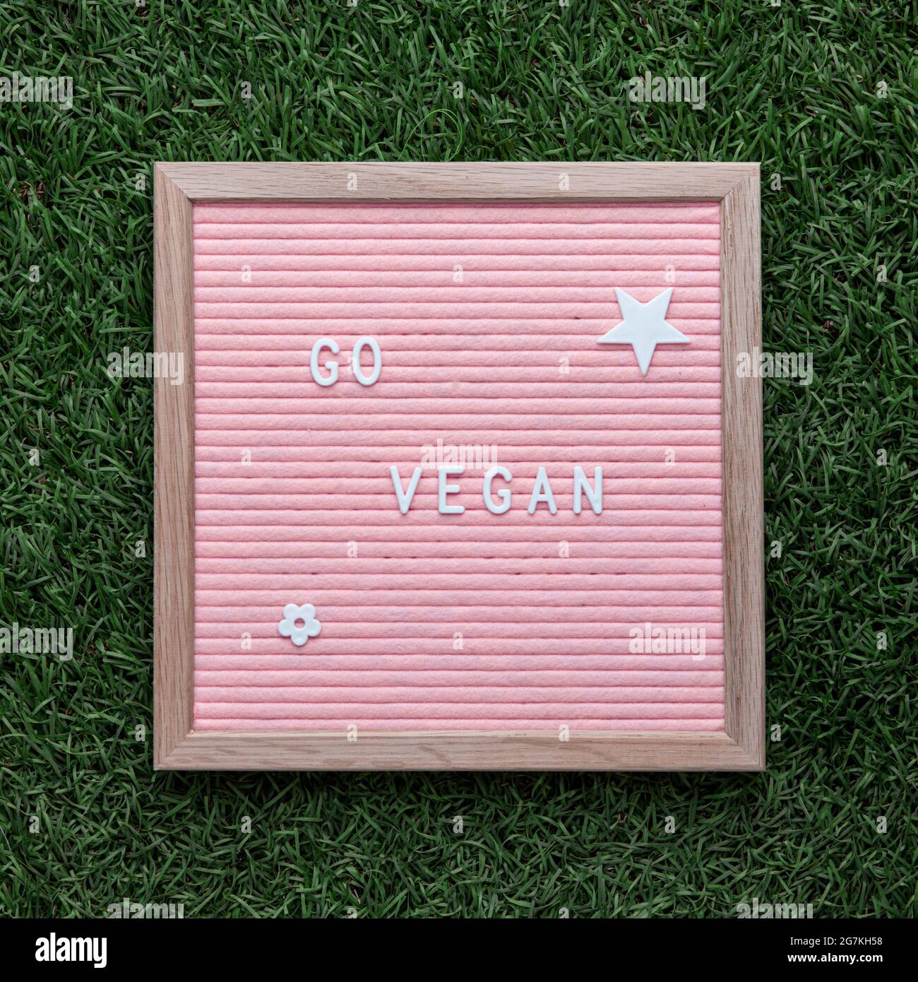 Quadratischer Rahmen mit rosa Filz Briefbrett mit einem Text in englischer Sprache geschrieben sagen gehen vegan mit Gras Hintergrund Stockfoto