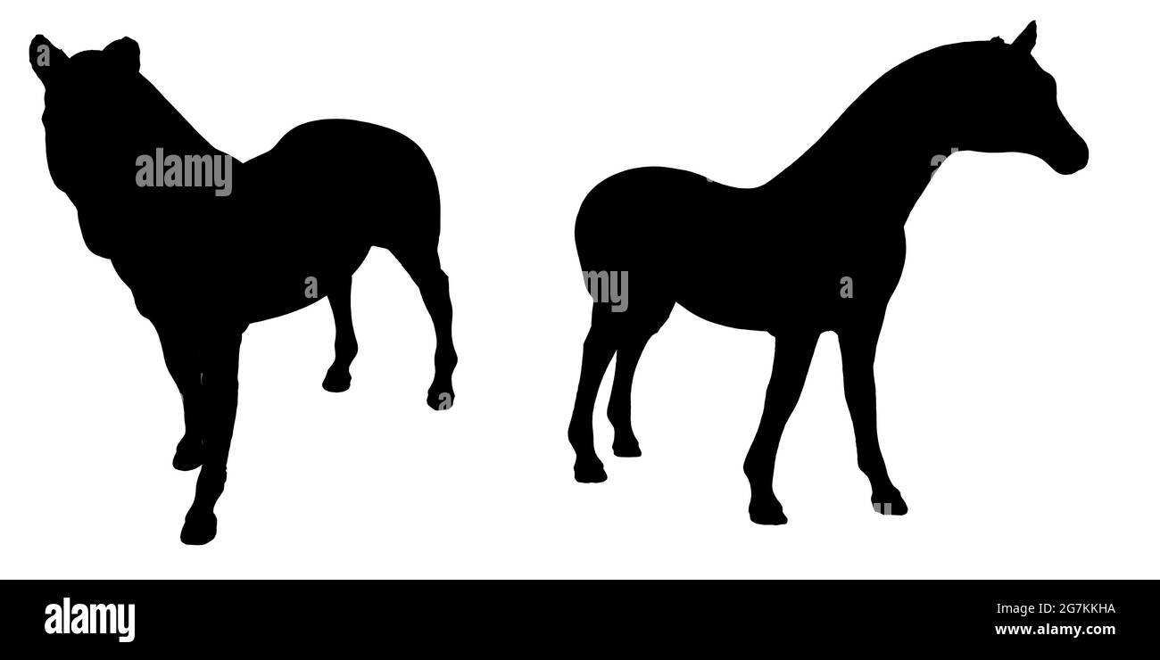 Set mit Silhouetten eines stehenden Pferdes in verschiedenen Positionen isoliert auf weißem Hintergrund. Vektorgrafik. Stock Vektor