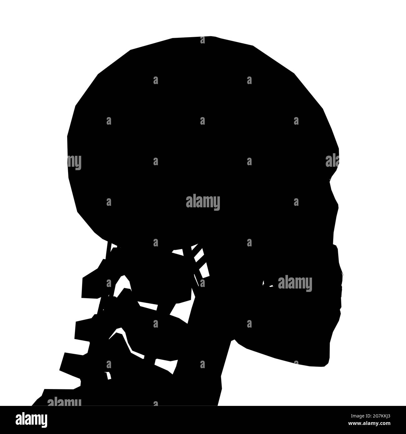 Silhouette Eines Menschlichen Schadels Mit Einer Isolierten Wirbelsaule Auf Weissem Hintergrund Seitenansicht Vektorgrafik Stock Vektorgrafik Alamy