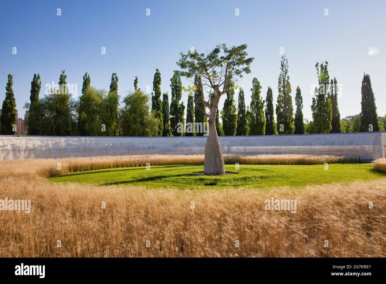 Kunst und Handwerk im Park Galitskogo, Krasnodar, Russland Stockfoto