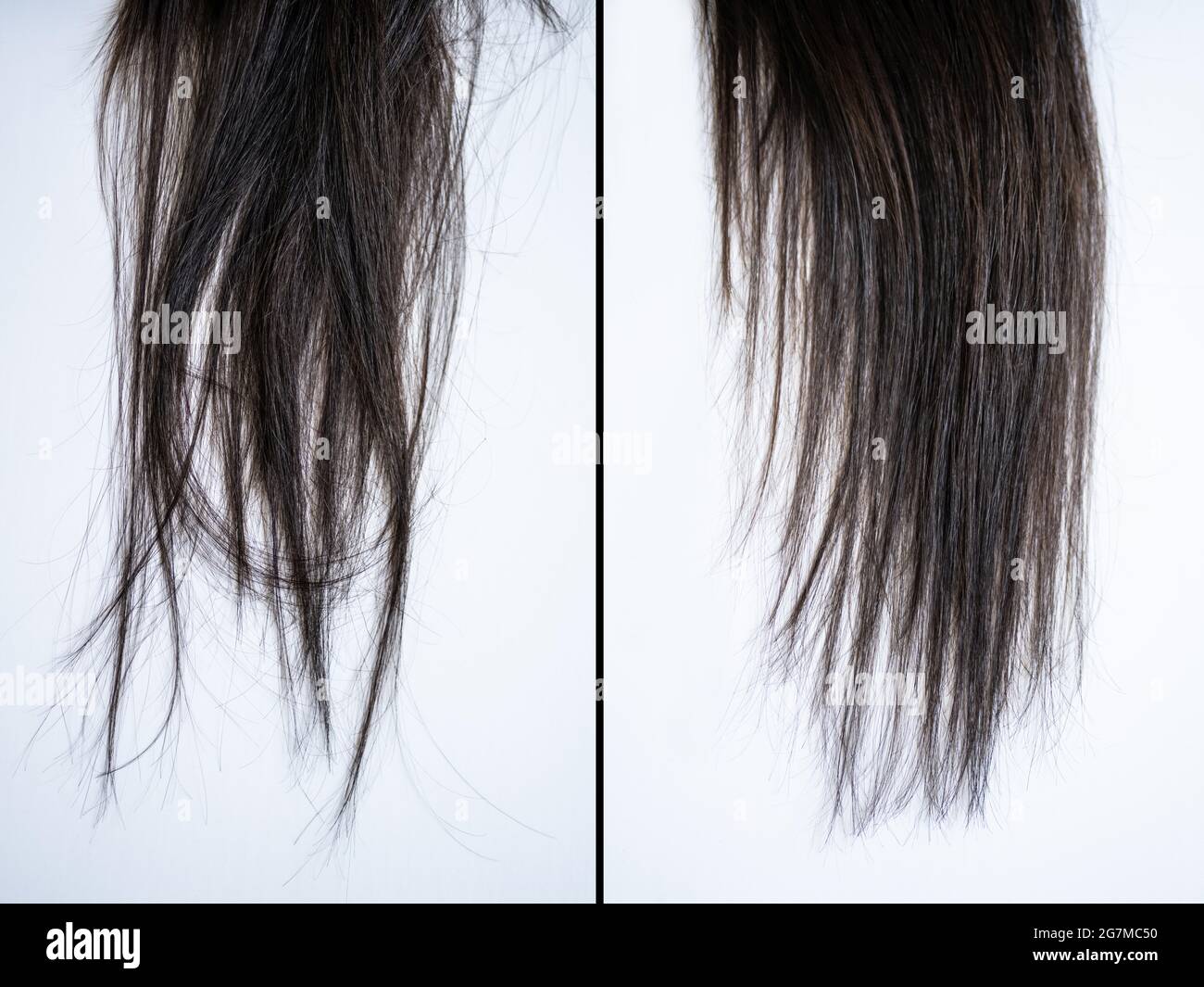 Die Haare der Frau Vor und Nach der Haarglättung auf grauem Hintergrund Stockfoto