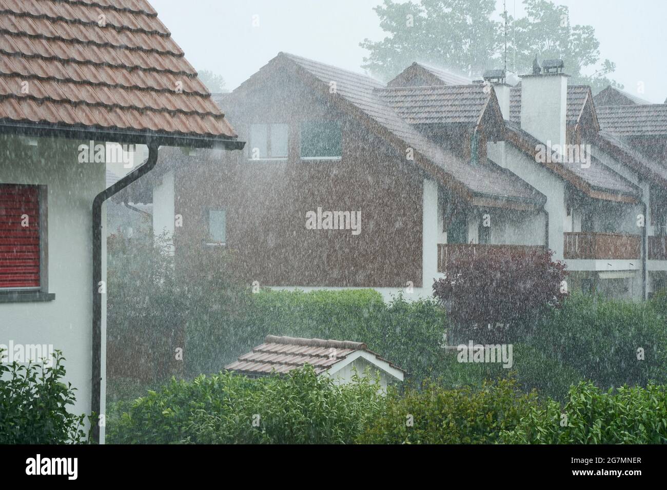 Starker Regen Setzt Sich Auf Häuser Und Hecken Nieder. Fehraltorf, Schweiz Stockfoto