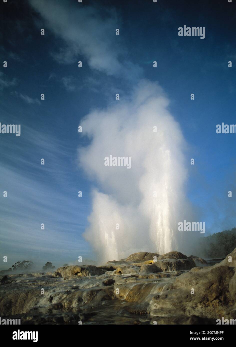 Neuseeland. Nordinsel. Rotorua. Whakarewarewa. Pohutu-Geysir. Stockfoto
