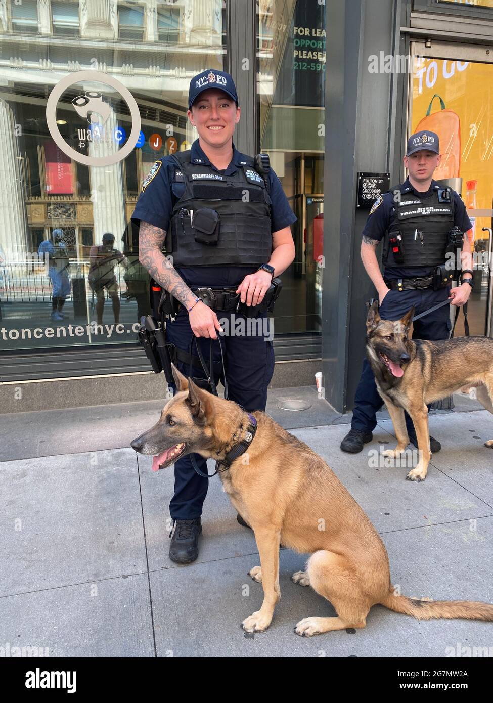 Porträt einer NYPD-K9-Patrouillenoffizierin auf dem Broadway in Manhattan mit einem Bombenschnüffelhund während einer Parade Stockfoto
