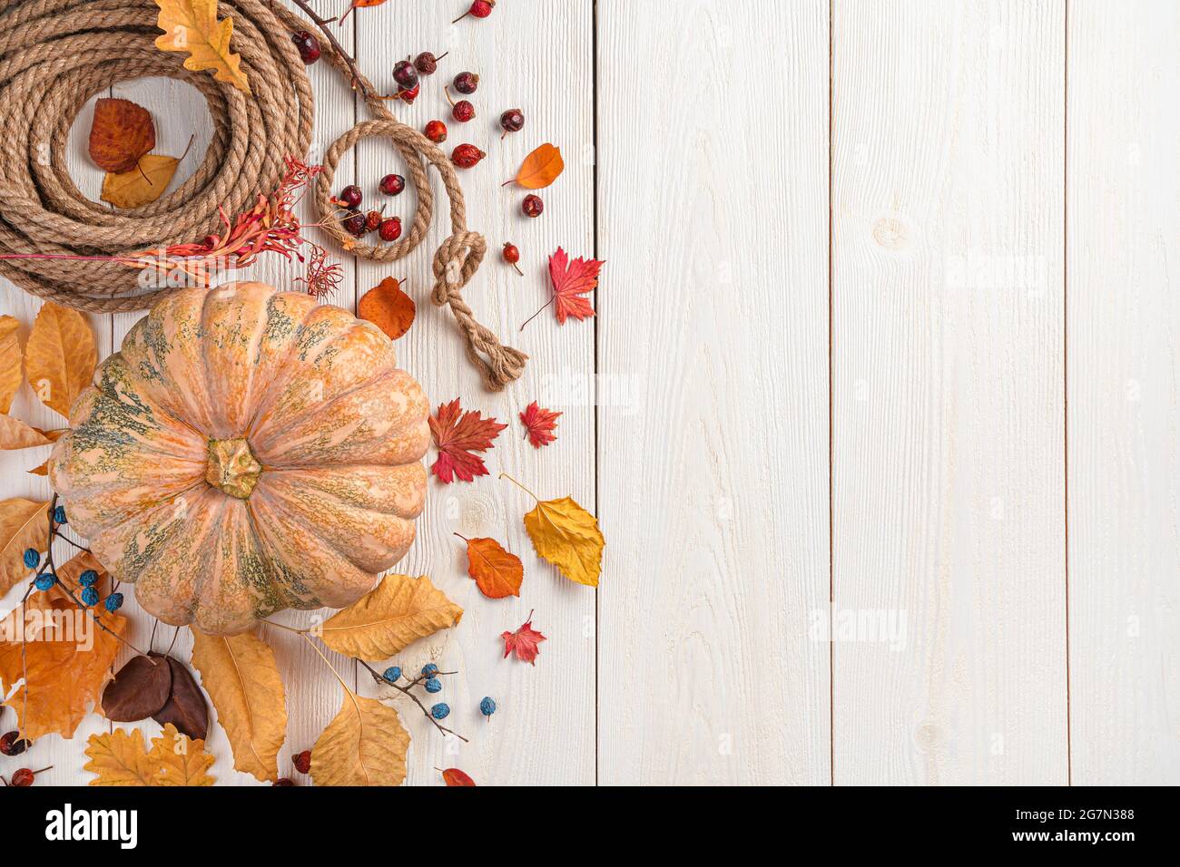 Festliches Herbstdekor aus Kürbis und Herbstblättern auf hellem Holzhintergrund. Stockfoto