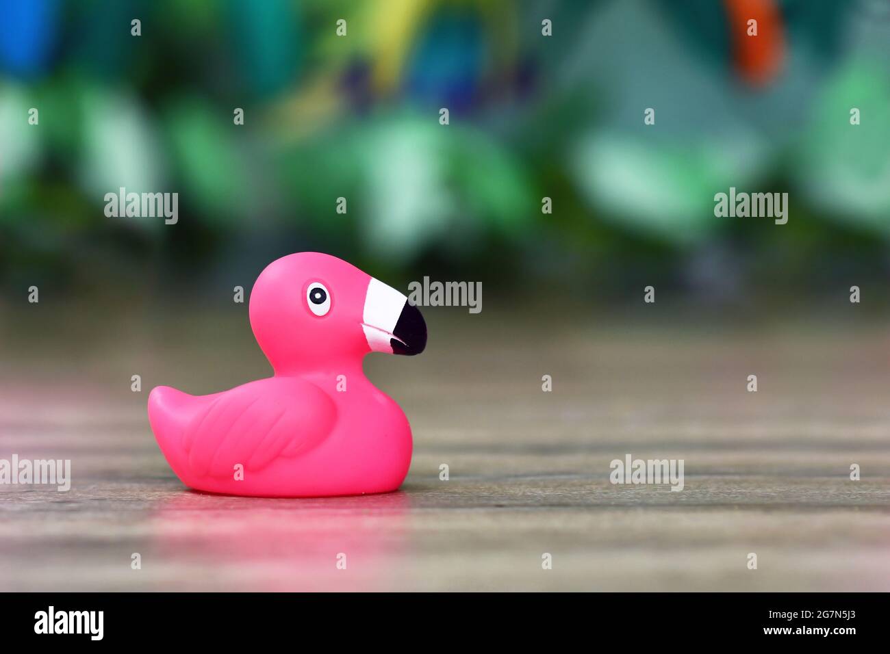 https://c8.alamy.com/compde/2g7n5j3/ein-einziger-flamingo-vogel-aus-rosa-kautschuk-mit-kopieplatz-2g7n5j3.jpg