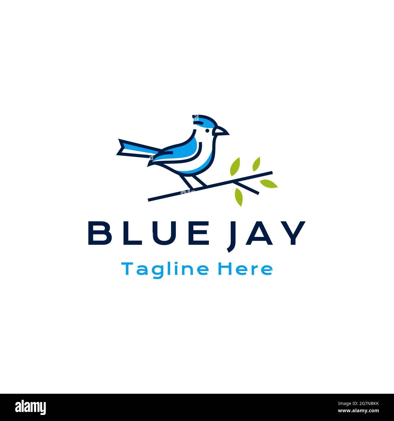 Blue jay Vogel Logo Design Vektor Illustration Stock Vektor