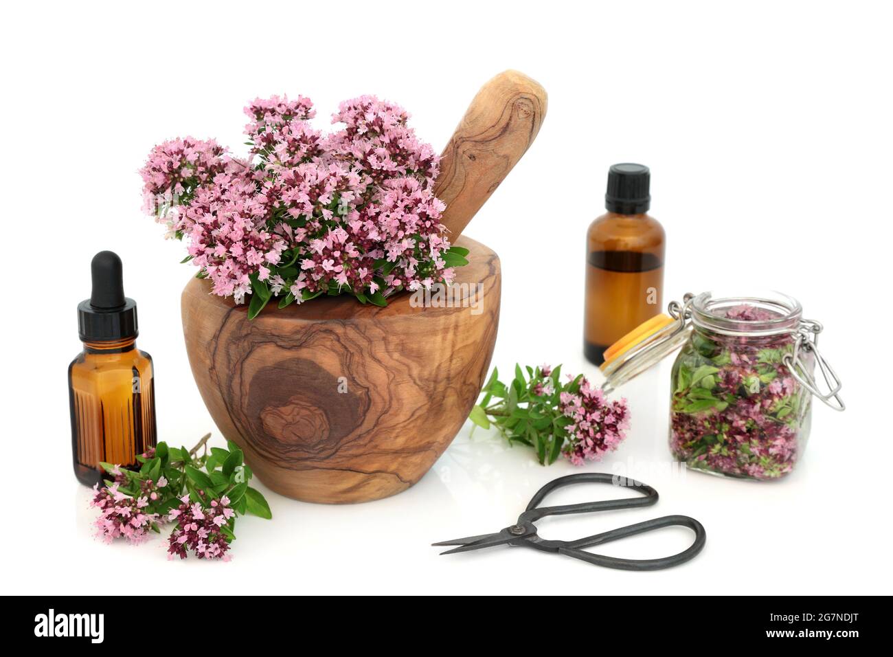 Zubereitung ätherisches Öl mit Kräuterblüten, Blättern. Wird in der Lebensmittelgewürzung und Kräuterpflanzenmedizin verwendet. Lindert IBS-Symptome. Stockfoto