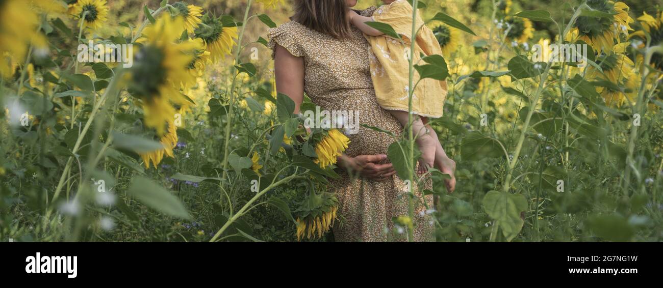 Eine Schwangerin in einem cremefarbenen Kleid hält ihre Tochter fest und geht auf einem Sonnenblumenfeld Stockfoto