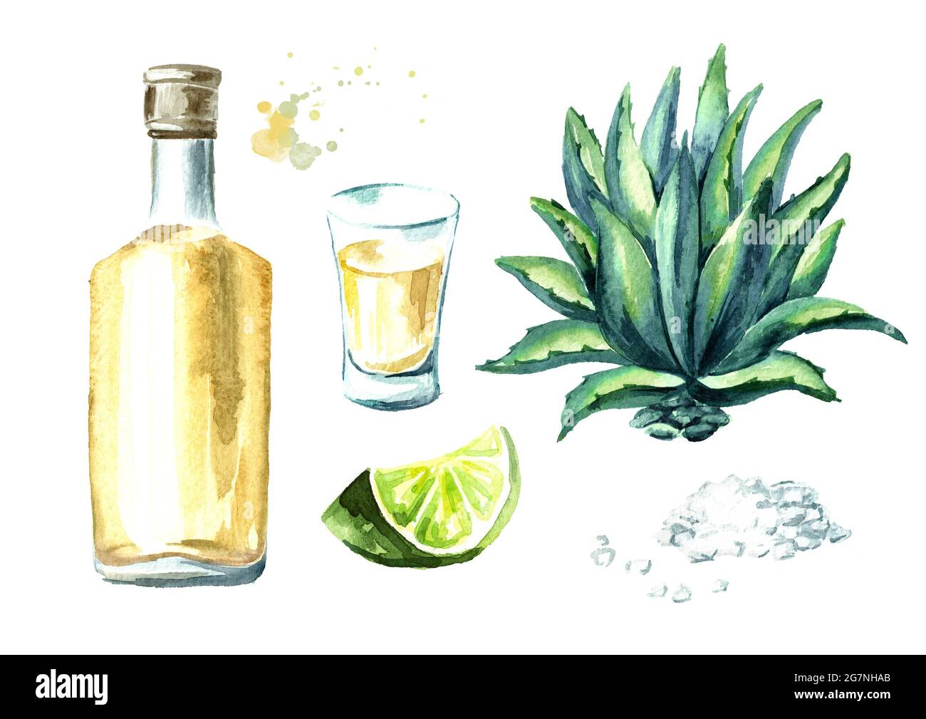 Alkoholgetrnk Tequila Set, gelbe Flasche mexikanischen Kaktus Alkohol,  Vollglas mit Limette und Salz, Agavenpflanze. Handgezeichnetes Aquarell Abb  Stockfotografie - Alamy
