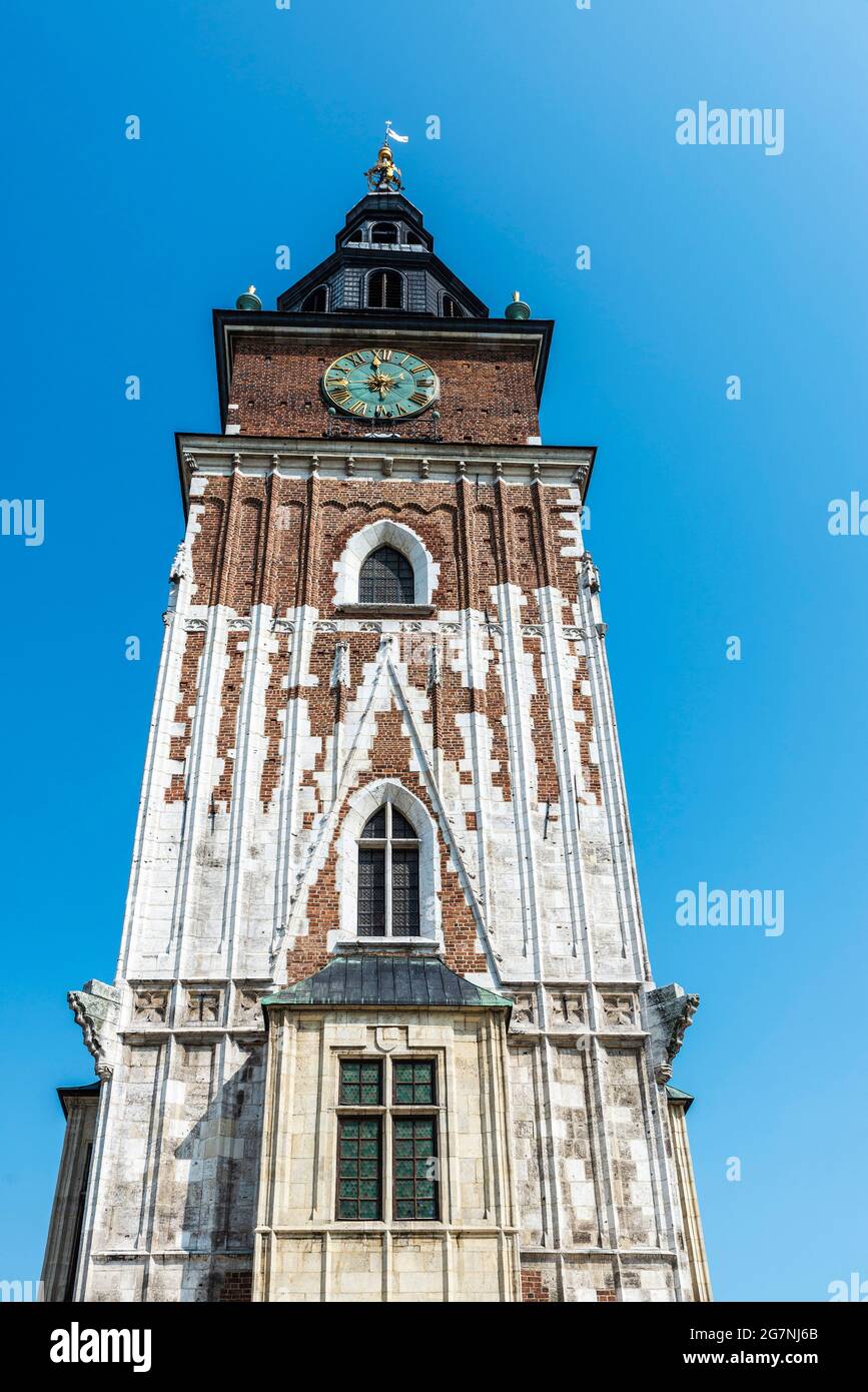 Rathausturm auf dem Hauptmarkt in Krakau, Polen Stockfoto
