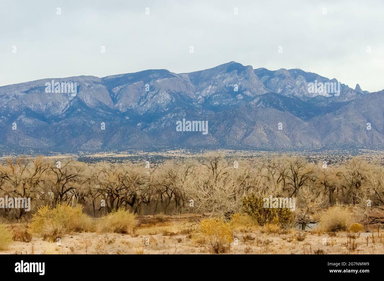 Sandia Mountains vom Rio Grande River in New Mexico Stockfoto