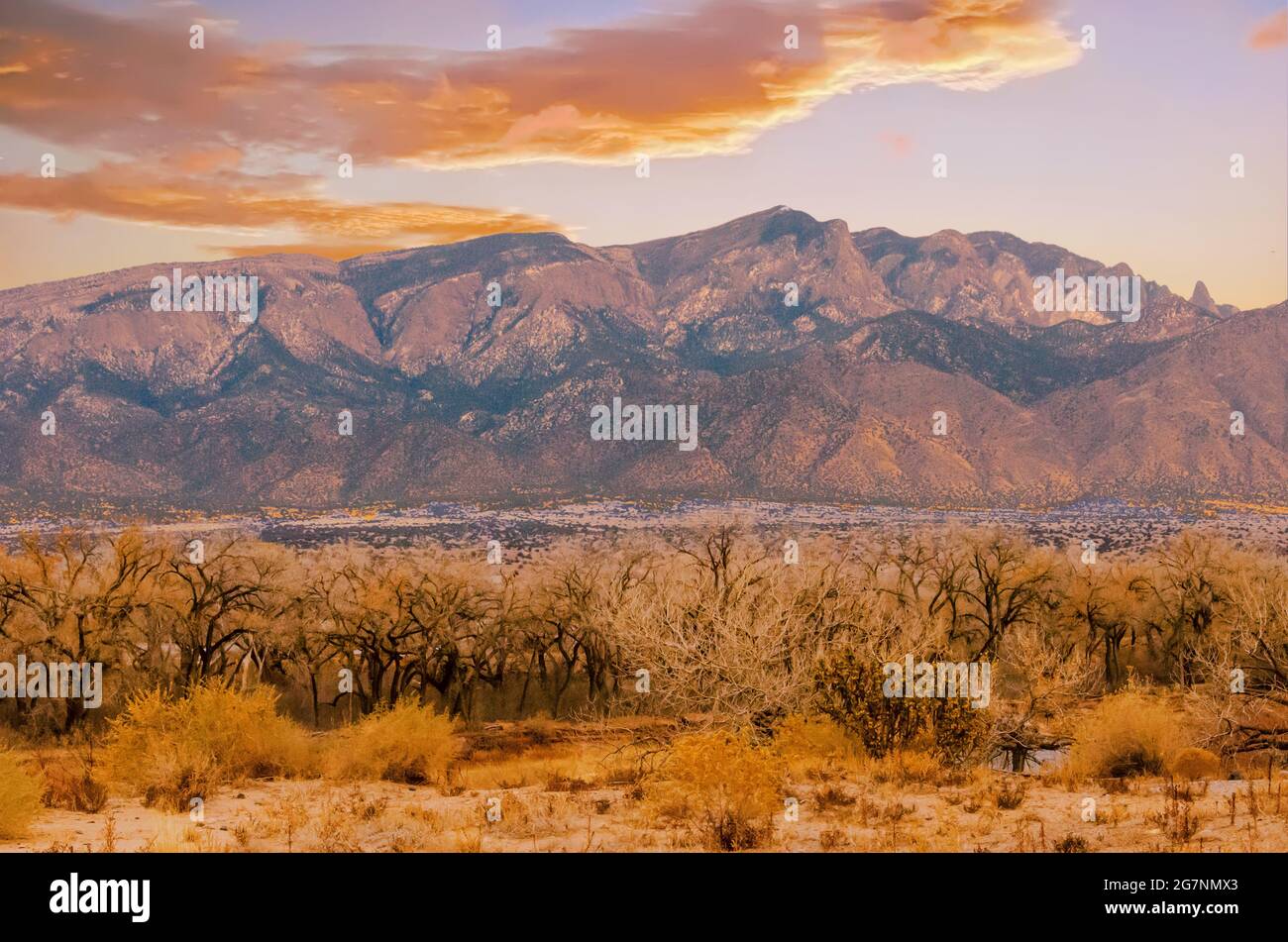 Sandia Mountains vom Rio Grande River in New Mexico Stockfoto
