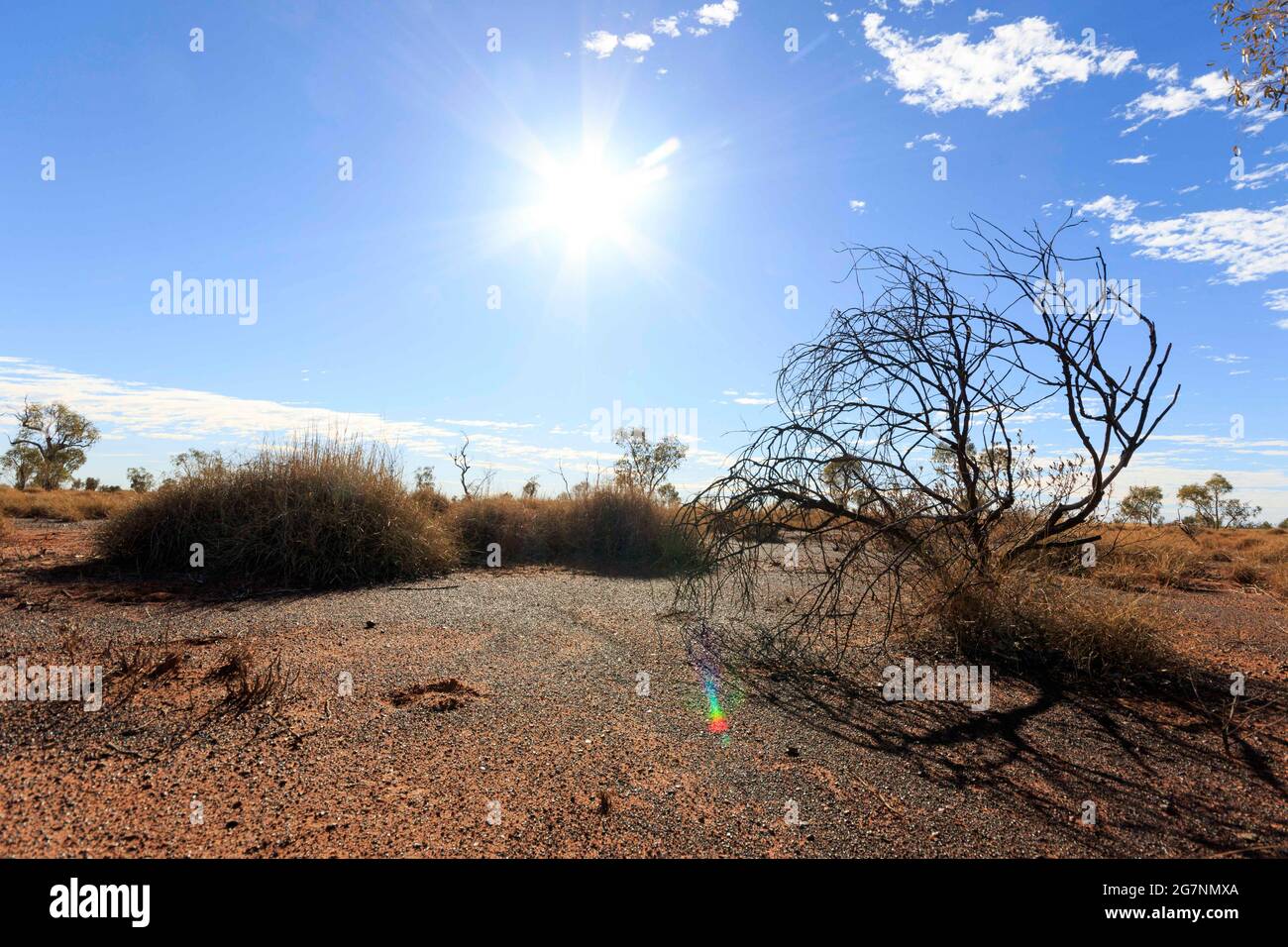 Lark Quarry, Queensland, Australien. Juni 2021. Ein Blick auf eine aride Wüstenumgebung und Spinifex im Lark Quarry in der Nähe von Opalton. Kredit: Joshua Prieto/SOPA Images/ZUMA Wire/Alamy Live Nachrichten Stockfoto