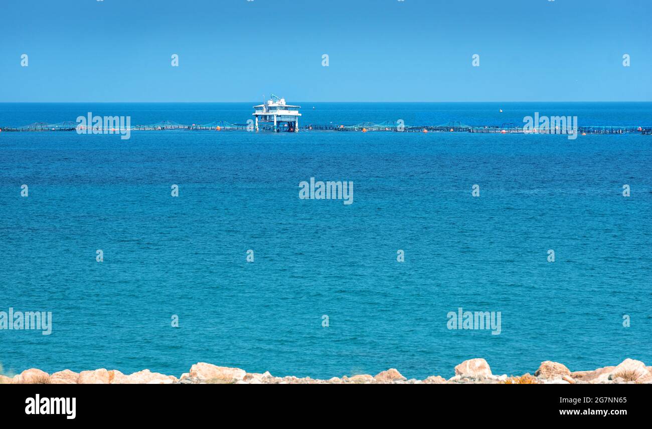 Fischfarm, die Seebarsch und dorado-Fische im Mittelmeer anbauen, Blick vom Ufer des Limassol-Frachthafens Stockfoto