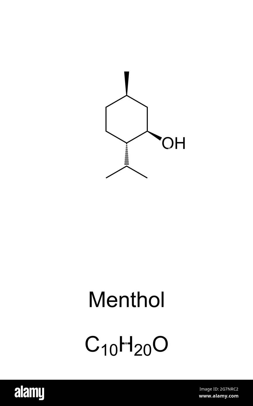 Menthol, chemische Formel und Skelettstruktur. l-Menthol, organische Verbindung, die natürlich in Minzpflanzen, auch bekannt als Mentha, vorkommt. Stockfoto