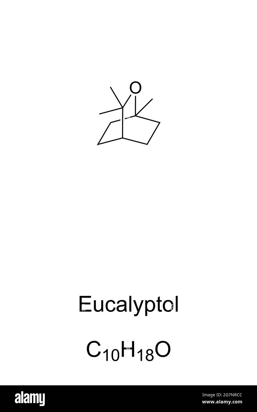 Eukalyptol chemische Formel und Struktur. 1,8-Cineol, organische Verbindung, minzähnlicher Geruch und kühlender Geschmack. Hauptbestandteil von Eukalyptusöl. Stockfoto