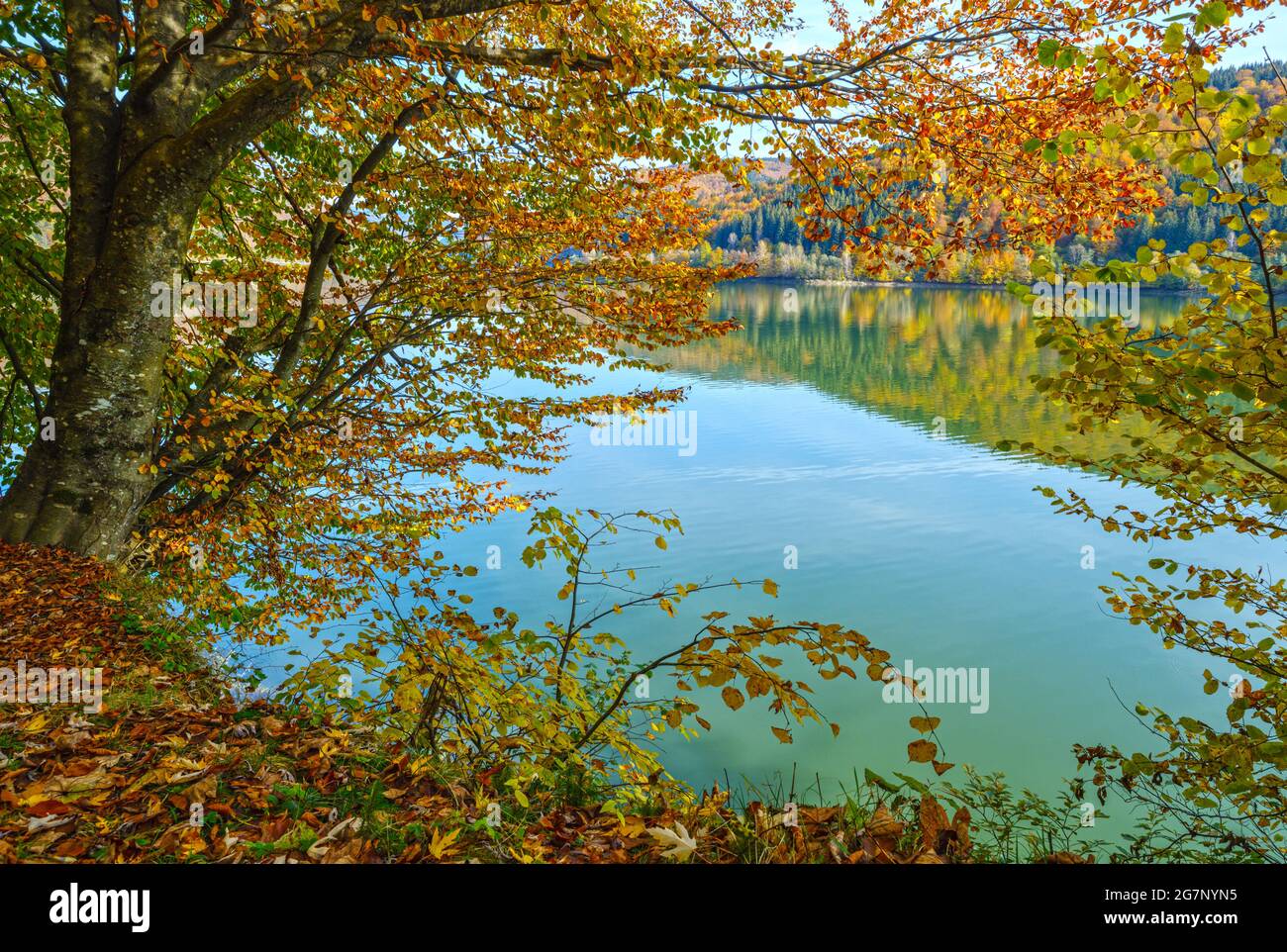 Vilshany Wasserreservoir am Tereblya Fluss, Transkarpatien, Ukraine. Malerischer See mit Wolken Reflexion. Schöner Herbsttag in Karpaten M Stockfoto